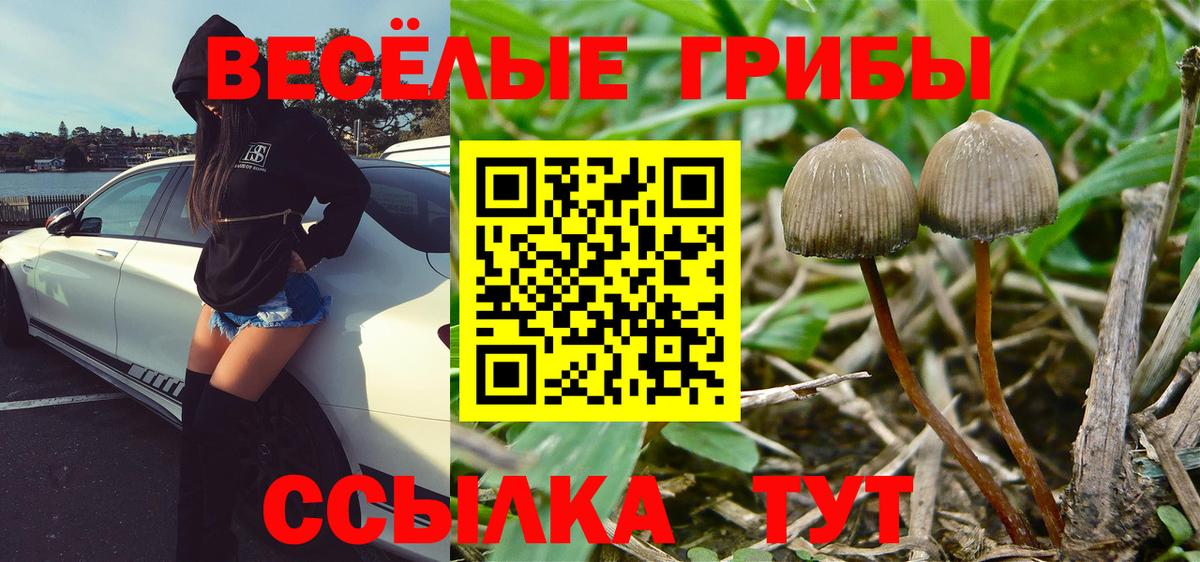 Армавир  Псилоцибиновые грибы GOLDEN TEACHER  закладка  Вход с VPN 
